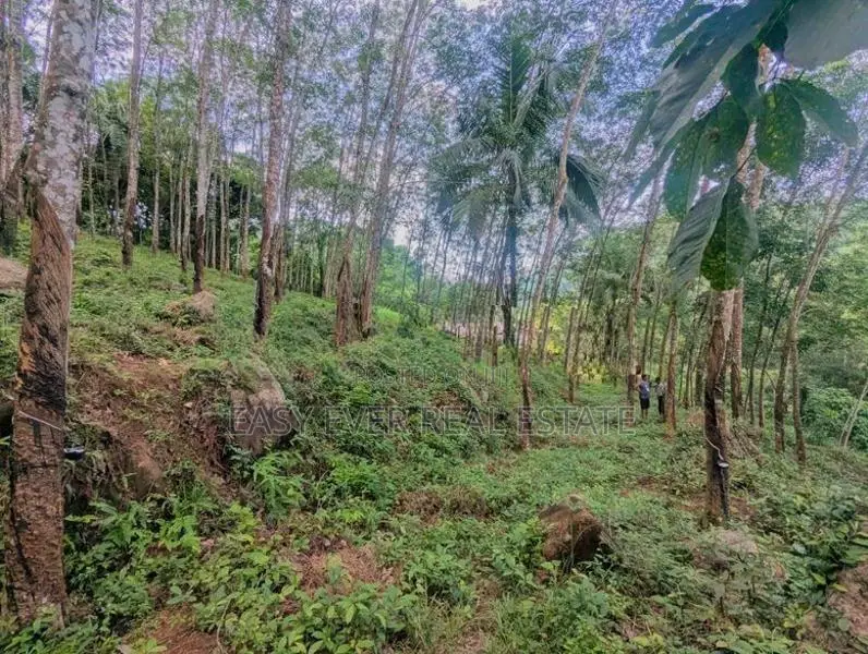 තෝලන්ගමුවෙන් වටිනා බිම් කොටසක් විකිණීමට / AJ 13950