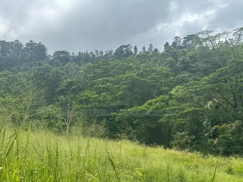 Lands for Sale in Pussellawa