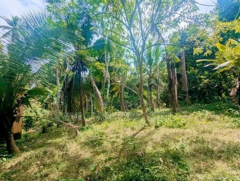 මීරිගම පල්ලෙවෙල පිහිටි පර්චස් 60 ක වටිනා ඉඩම / ST 15004