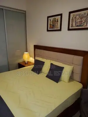 FULLY FURNISHED PETERSON TOWER APARTMENT FOR SALE COLOMBO 5 AH2722
