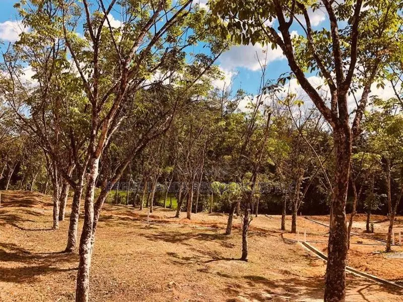 Land for Sale in Horana