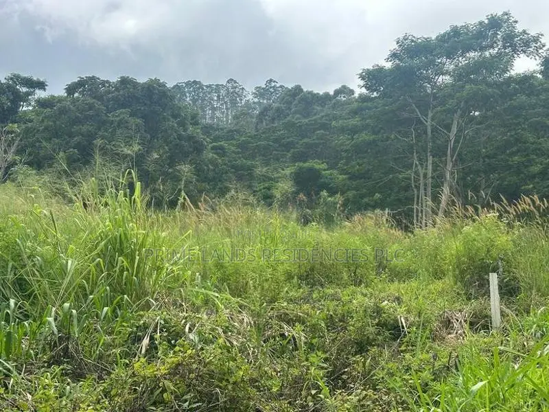 Lands for Sale in Pussellawa