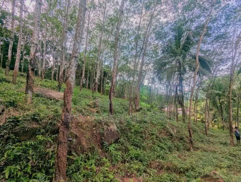 තෝලන්ගමුවෙන් වටිනා බිම් කොටසක් විකිණීමට / AJ 13950