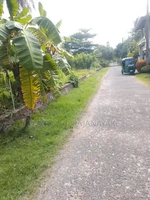 Land for Sale in Negombo