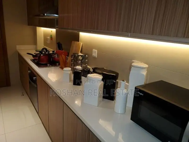 FULLY FURNISHED PETERSON TOWER APARTMENT FOR SALE COLOMBO 5 AH2722