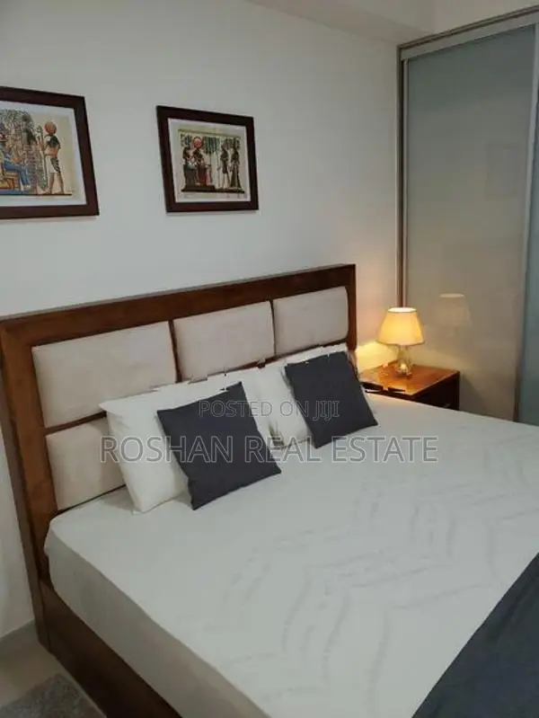 FULLY FURNISHED PETERSON TOWER APARTMENT FOR SALE COLOMBO 5 AH2722