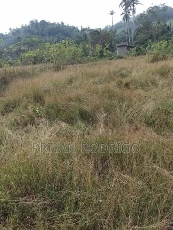 Ingiriya - Handapangoda 82+ Perches of Land for Sale