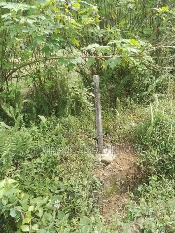 Ingiriya - Handapangoda 82+ Perches of Land for Sale