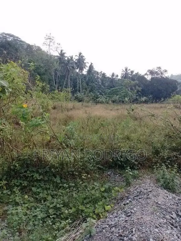 Ingiriya - Handapangoda 82+ Perches of Land for Sale