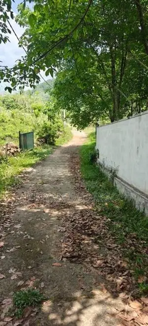 Horana - Poruwadanda 262 Perches of Land for Sale