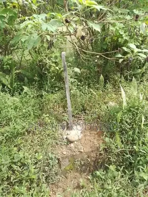 Ingiriya - Handapangoda 82+ Perches of Land for Sale