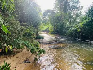 Hadapangoda නිදහස් පරිසරයක් සමගින් මාවක් ඔයට මායිම්ව බිම් කොටස්
