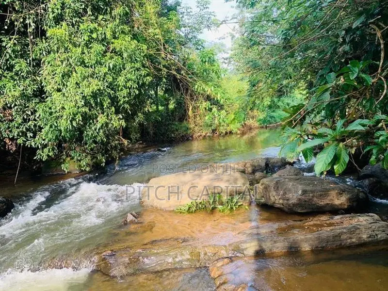 Hadapangoda නිදහස් පරිසරයක් සමගින් මාවක් ඔයට මායිම්ව බිම් කොටස්