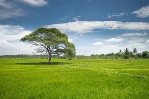 Dikwella Land
