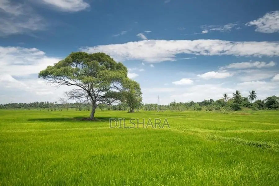 Dikwella Land
