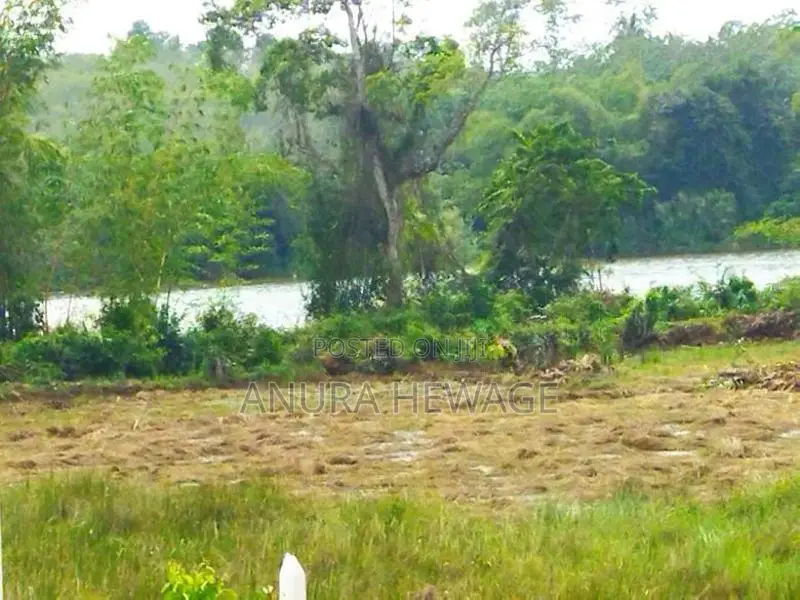 Land for Sale Kalutara, Wadduwa, Uggalboda. (ID : WADU002)