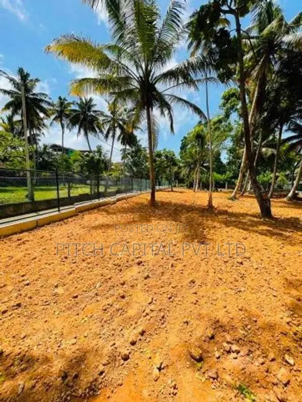 මිදිගම Surf point අසලින්ම වටිනා බිම් කොටස් විකිණීමට.