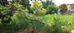 Bare Land for Sale in Hill Crescent Residencies, Dehiwala (c7-10342)