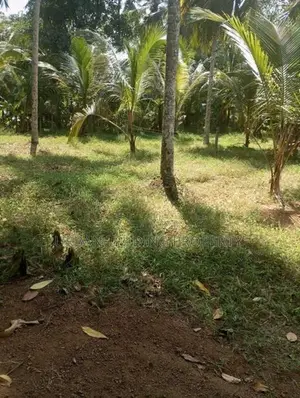 පර්චස් 19.7ක අගනා ඉඩමක් විකිනීමට ඇත පූගොඩ පාර, දෙල්ගොඩ
