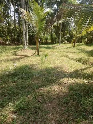 පර්චස් 19.7ක අගනා ඉඩමක් විකිනීමට ඇත පූගොඩ පාර, දෙල්ගොඩ