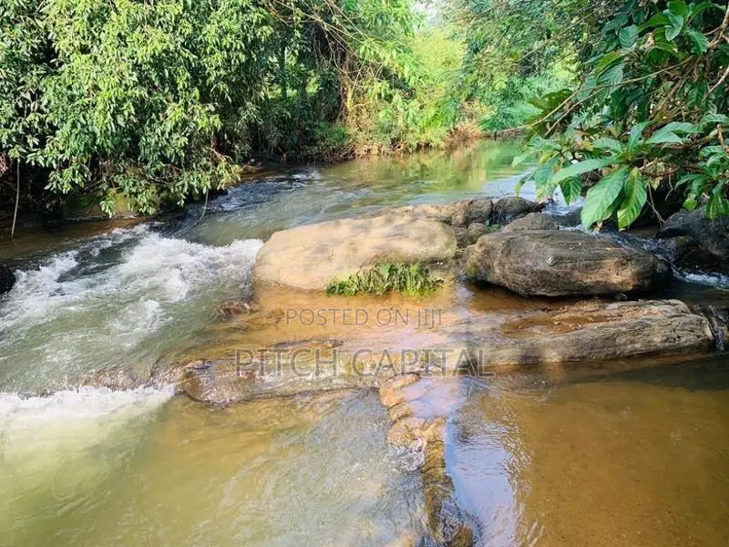 සංචාරක කර්මාන්තයට ඉඩම් ඉංගිරියෙන්