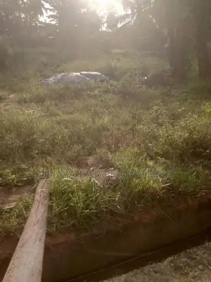 Land for Sale Hibutana