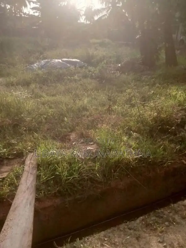 Land for Sale Hibutana