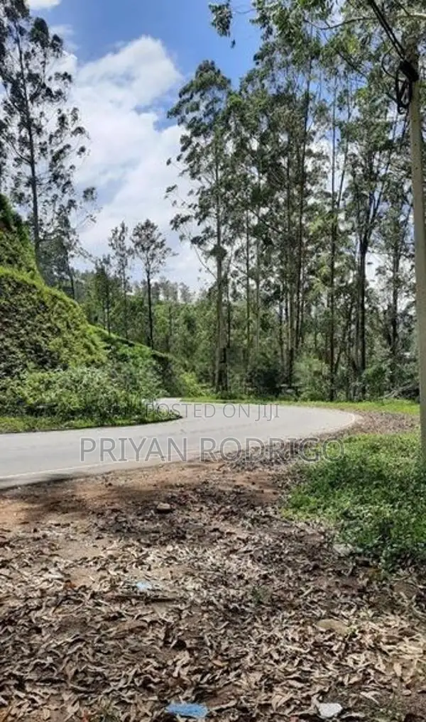 Luxury Fully Furnished 05 BR Bungalow for Sale in Nuwara Eliya Distric