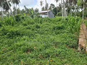 Mirigama - Hapugahage Watta 12.5 Perches of Land for Sale