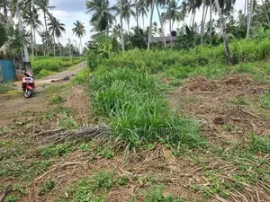Mirigama - Hapugahage Watta 12.5 Perches of Land for Sale