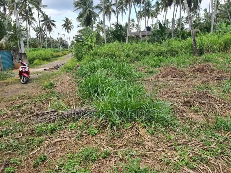 Mirigama - Hapugahage Watta 12.5 Perches of Land for Sale