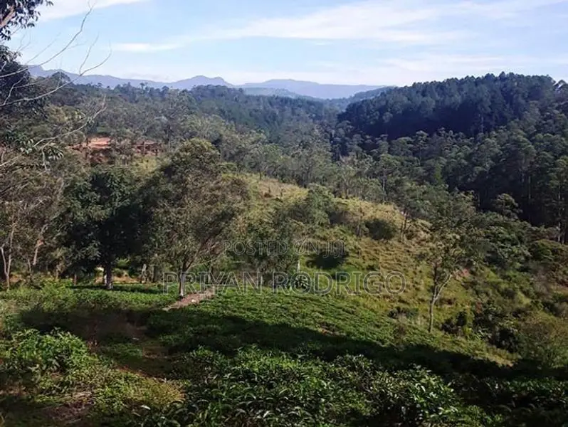 Hotel For Sale In Bandarawela