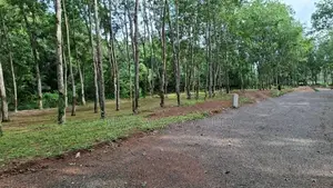 කුරුණෑගල පහ පාර , වල්පිට ,දිවුලපිටිය බිම්කොටස්