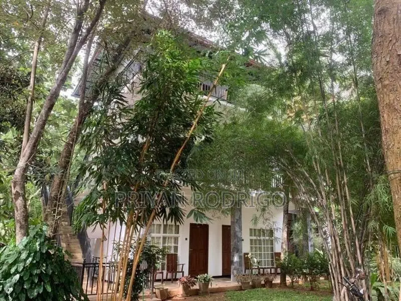 Tourist Board Approved 8 Luxury Bedroom Resort for Sale in Rathnapura