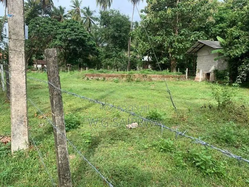 Land for Sale Demanhandiya