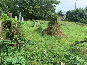 Land for Sale Demanhandiya