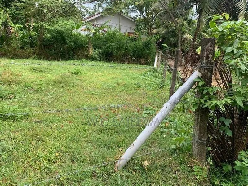 Land for Sale Demanhandiya