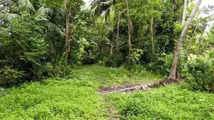 Waterfront Land in Bolgoda