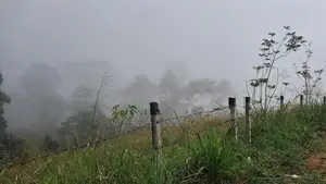 Beautiful Land for Sale in Pussellawa