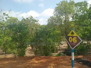 Lands for Sale in Ambalangoda