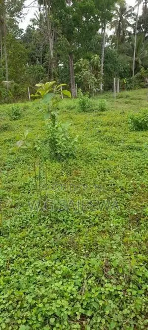 12.78 Perch Land for Sale Seeduwa