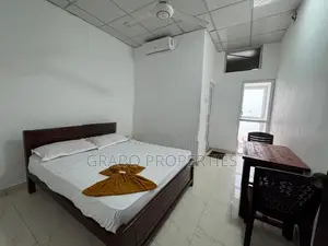 Spacious Furniahed apartment for rent in Colombo 3
