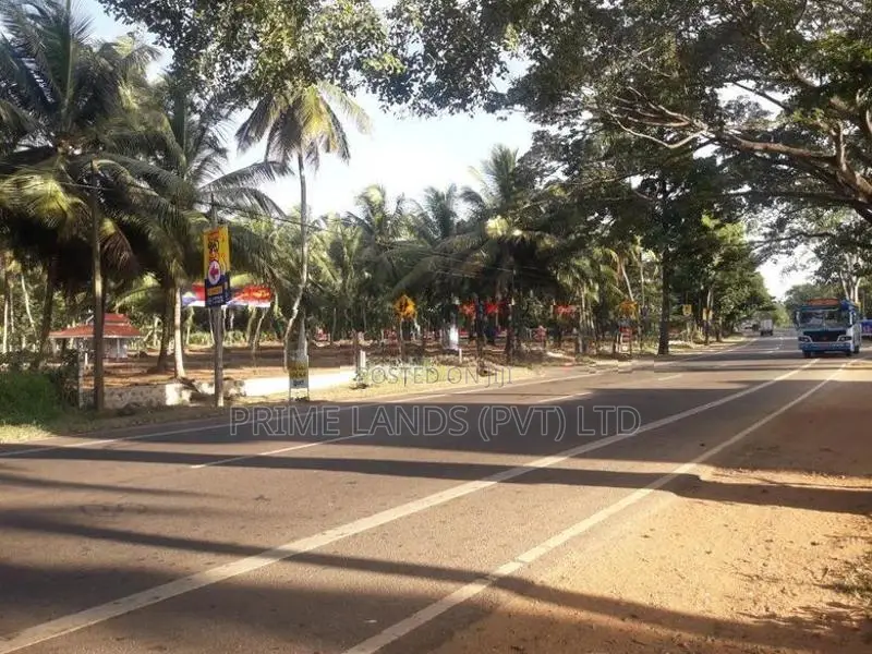 ව්‍යාපාරික හා නේවාසික බිම් කොටස් විකිනීමට අඹගස්වැව