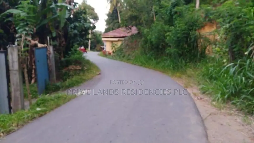 Lands for Sale in Ambathanna