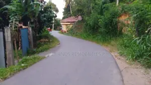 Lands for Sale in Ambathanna