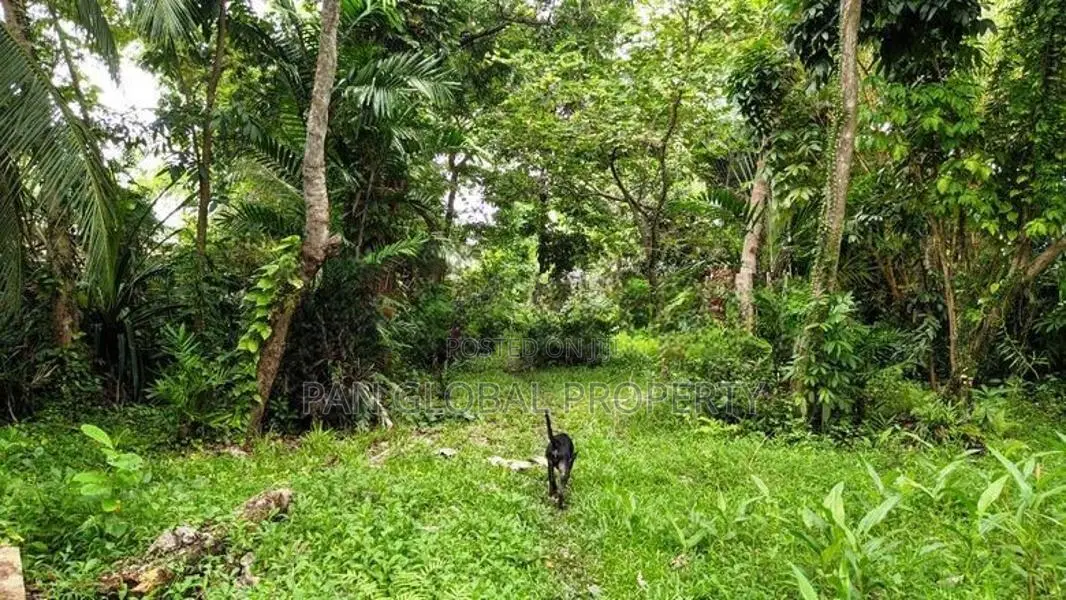 Waterfront Land in Bolgoda