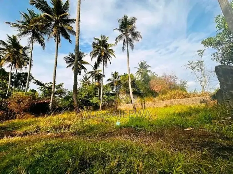 Valuable Land for Sale in Ja Ela