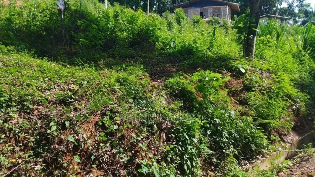Land for Sale in Nelumdeniya
