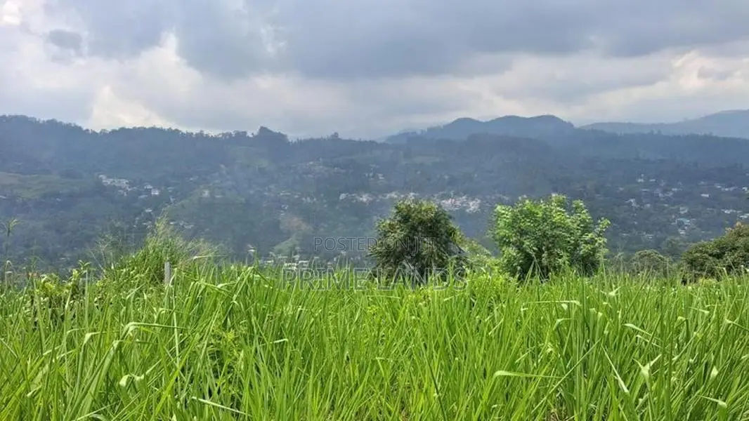 Land for Sale in Kandy Pussellawa