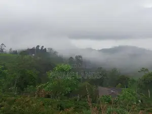 Valuable Land for Sale in Kandy Nillabe
